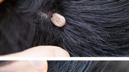 μόλις-ανακάλυψα-αυτό-στα-μαλλιά-του-γι-226740