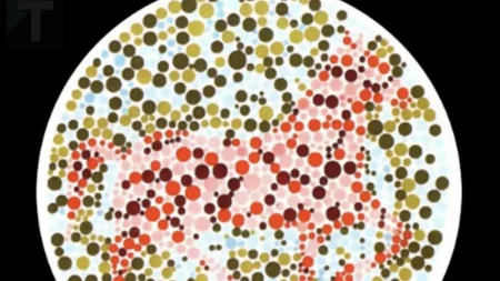 το-ζώο-που-είδατε-πρώτο-θα-αποκαλύψει-ό-227192