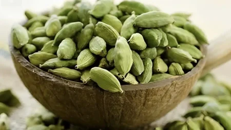 το-ισχυρό-μπαχαρικό-που-ρυθμίζει-φυσι-228106