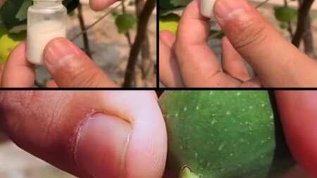 αυτός-ο-χυμός-κυριολεκτικά-αξίζει-το-β-231959