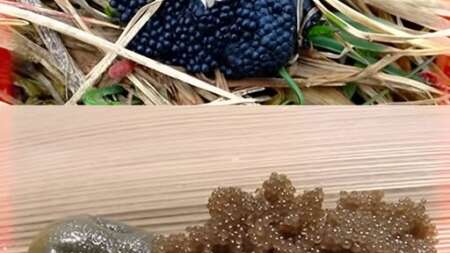 πολύ-σημαντικό-αν-δείτε-αυτά-τα-αυγά-στ-229116