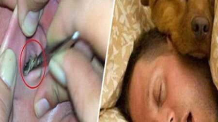 μην-κοιμαστε-με-τα-κατοικιδια-σασ-μην-ρ-231331