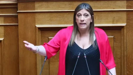 δεxθhke-eπiθeσh-h-ζωη-κωνσταντοπουλου-μεσα-στ-232199