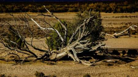 ektakth-eiδηση-229882