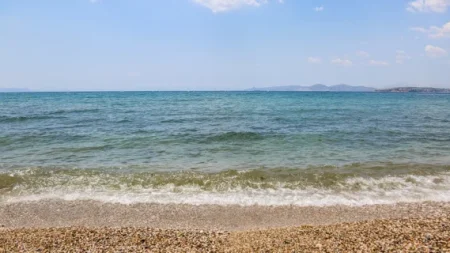 το-παιδί-που-δεν-το-ψάχνει-κανείς-παραμ-232836