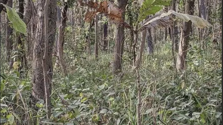 έχετε-όραση-αετού-αν-μπορείτε-να-βρείτ-229119