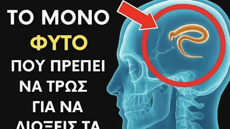 μόνο-2-κουταλιές-βοηθάει-την-αποβολή-230097