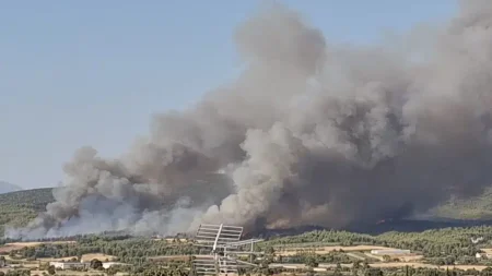 μεγάλη-φωτιά-στον-ωρωπό-ηχησε-το-112-για-230232