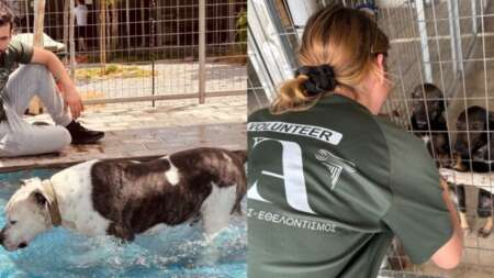 νέα-επίσκεψη-της-νέας-ακρόπολης-στο-κα-233158