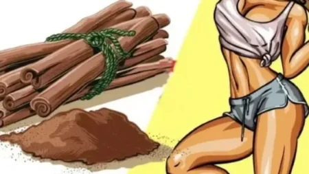 δiαιτα-της-κανέλας-xάσε-έως-6-κιλά-σε-10-μέρ-233297