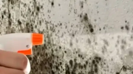 πώς-να-αφαιρέσετε-την-υγρασία-από-τους-234322