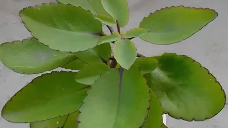 απελευθερώστε-τη-απρόσμενη-δύναμη-το-233703