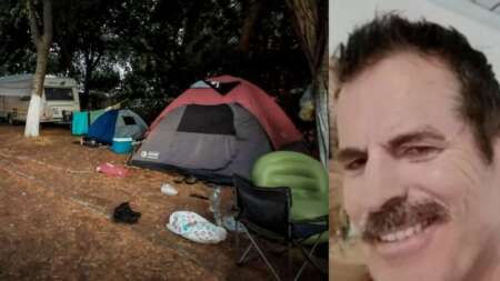 λύθηκε-το-μυστήριο-της-φοινικούντας-η-235225