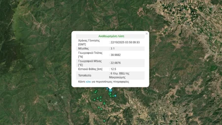 τρομοσ-13-συνεχόμενοι-σεισμοί-ταρακού-237355