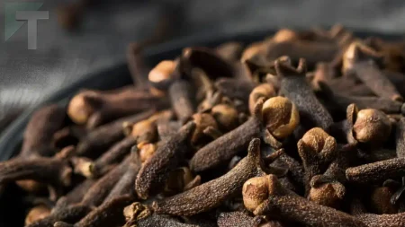 τα-οφέλη-του-αφεψήματος-με-γαρύφαλλο-237421