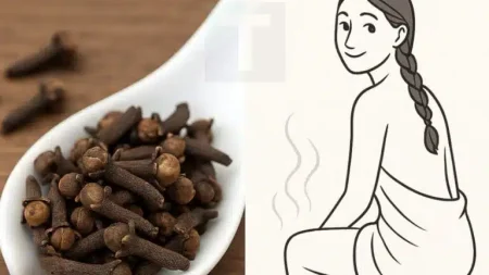 η-φυσική-δύναμη-του-γαρύφαλλου-σπιτικ-234458