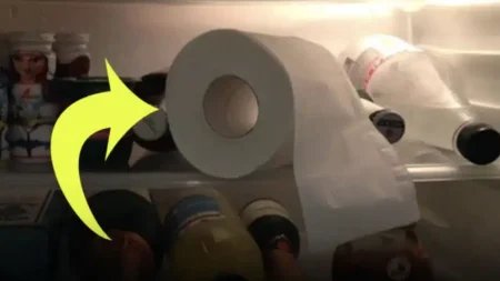 ένα-εκπληκτικό-κόλπο-για-το-ψυγείο-για-236495