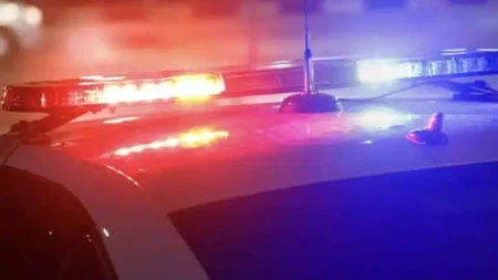 φpίκη-μητέρα-πυροβόλησε-τα-τέσσερα-παι-234085