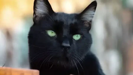 τα-3-άτυχα-ζώδια-του-2026-θα-δοκιμαστούν-π-235904