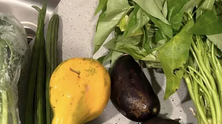 to-φυτό-που-καθαρίζει-το-αίμα-το-δέρμα-τα-236370