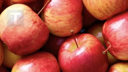 αυτό-που-κανείς-δεν-σου-είπε-για-τα-μήλα-237554