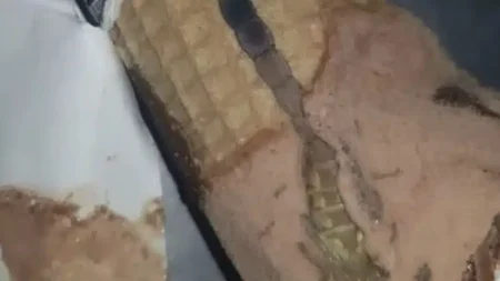 η-κόρη-μου-άνοιξε-ένα-παγωτό-χωνάκι-και-237632