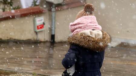 ισχυρό-καμπανάκι-τσατραφύλλια-κατ-235994