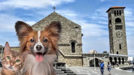 θεία-λειτουργία-και-αγιασμός-για-σκύλ-237776