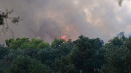 εκτακτο-τωρα-μεγαλη-φωτια-στην-ελλα-249878