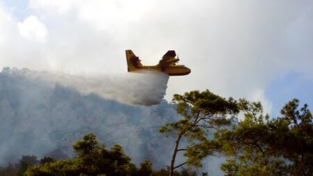φωτια-τωρα-στην-ελλάδα-ποια-περιοχή-κ-237946