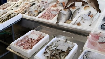 το-πιο-υγιεινό-ψάρι-που-όλοι-πρέπει-να-τ-250187