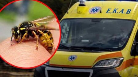 μοιραίο-αποδείχθηκε-το-τσίμπημα-από-σ-244301