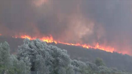 συναγερμός-στην-εύβοια-μεγάλη-φωτιά-σ-255833