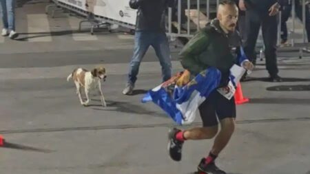 σπάρταθλον-2026-η-σκυλίτσα-που-ακολούθησ-262614
