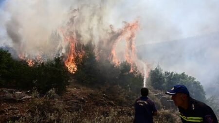 συναγερμός-στη-χώρα-νέα-φωτιά-ξέσπασε-252651