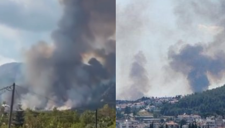 συναγερμοσ-τωρα-μεγαλη-φωτια-καιει-κο-253837
