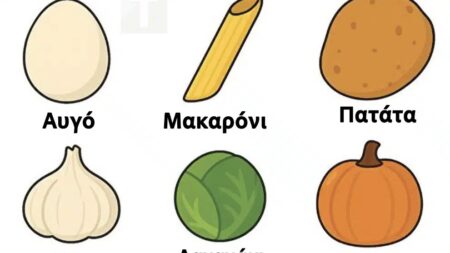 πρέπει-να-διαλέξετε-ένα-φαγητό-για-να-τ-262617