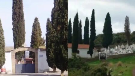 γιατί-στα-νεκροταφεία-φυτεύουν-κυπαρ-279653